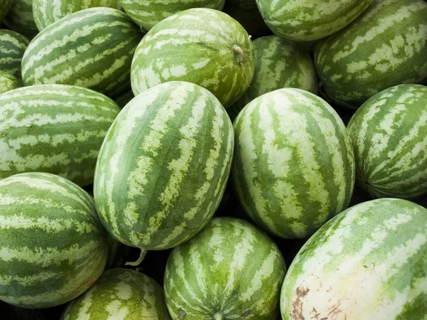 stock image Watermelon