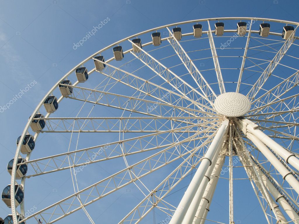 swinger-sprout-myrtle-beach