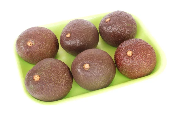 Avocados six pack — Stock Photo, Image