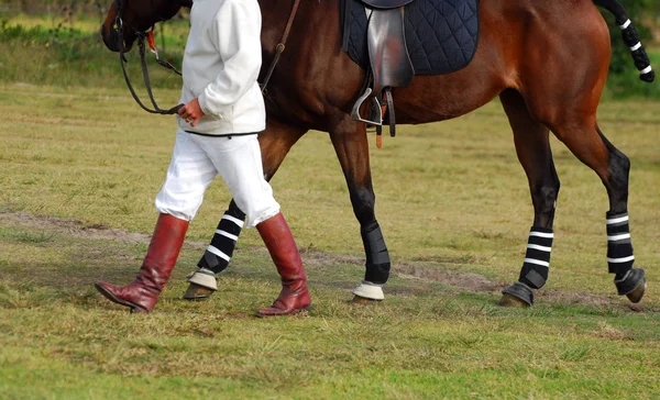 Polocrosse-Spieler mit Pferd — Stockfoto