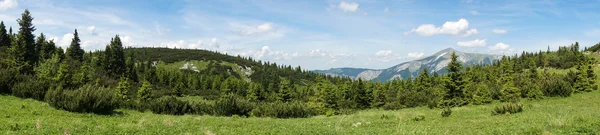 Panoramiczny widok na alpejskie łąki w austriackich Alpach — Zdjęcie stockowe