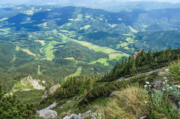 Uitzicht naar vallei vanaf rax bergen — Stockfoto