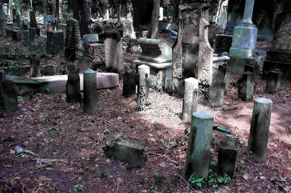 Joodse begraafplaats in wroclaw, Polen — Stockfoto