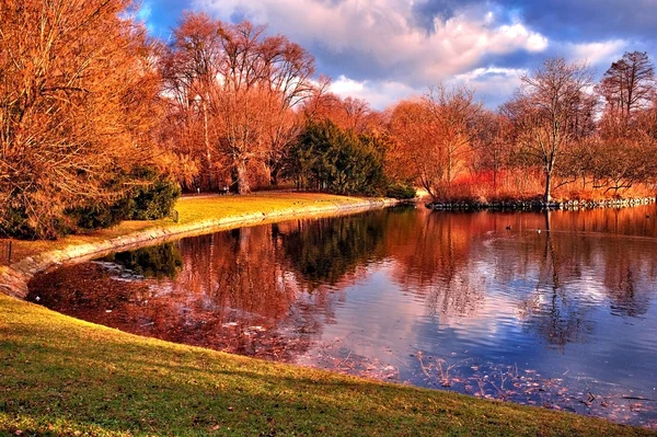 Pond in the park — Stock Photo, Image