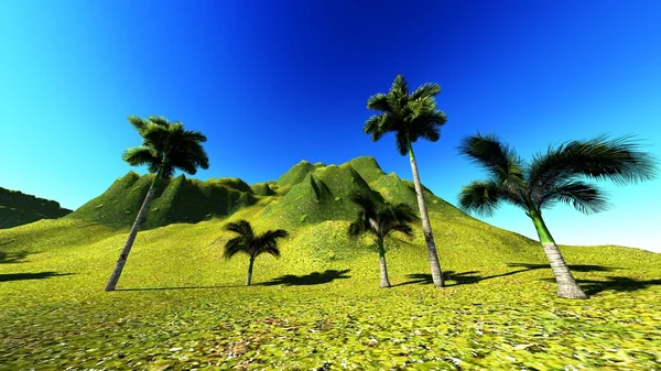 Тропический рай — стоковое фото