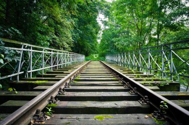 Dilapidated train track in forest clipart