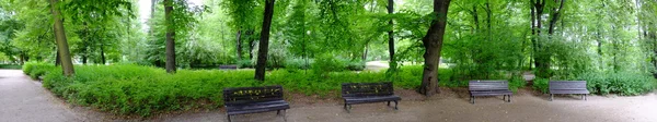 Park w okresie wiosennym — Zdjęcie stockowe