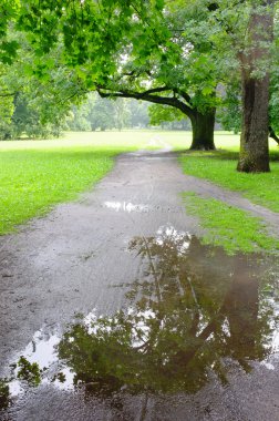 Yağmurlu gün Park