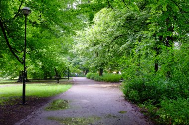 Yağmurlu gün Park