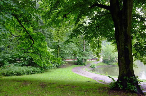 Park an Regentagen — Stockfoto