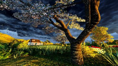 meyve bahçesinde erken bahar zamanı