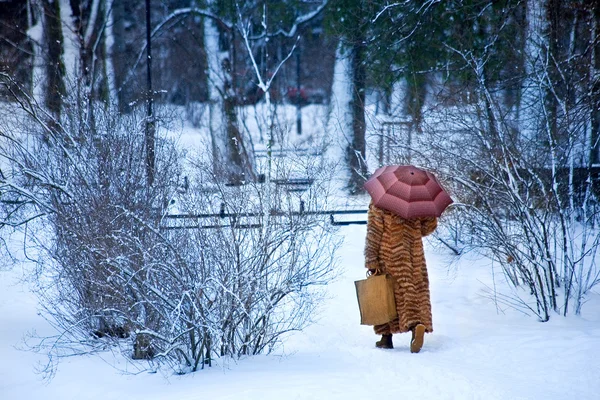 Winterlicher Spaziergang — Stockfoto