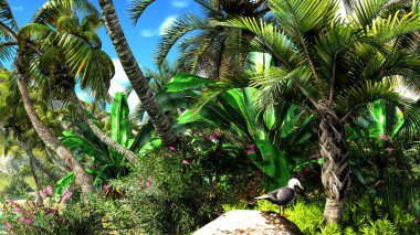 tropik cenneti Hawaiian günbatımı