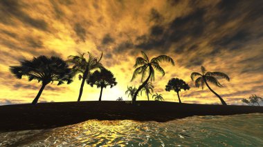tropik cenneti Hawaiian günbatımı