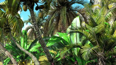 tropik cenneti Hawaiian günbatımı