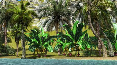 tropik cenneti Hawaiian günbatımı