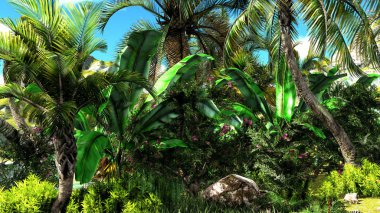 tropik cenneti Hawaiian günbatımı