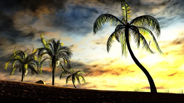 Hawaiian sunset v tropickém ráji — Stock fotografie