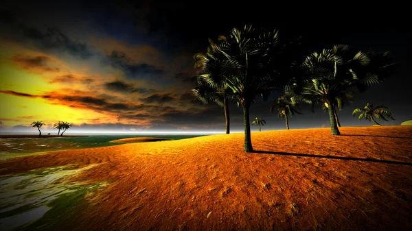 Hawaiian sunset in tropical paradise — Stock Photo, Image