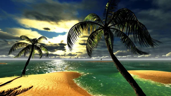在热带天堂夏威夷日落 — 图库照片