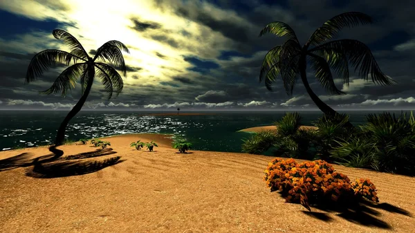 Hawaiian sunset i tropiskt paradis — Stockfoto