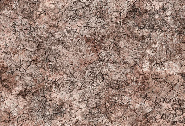 Crackled soil background — Stock Photo, Image