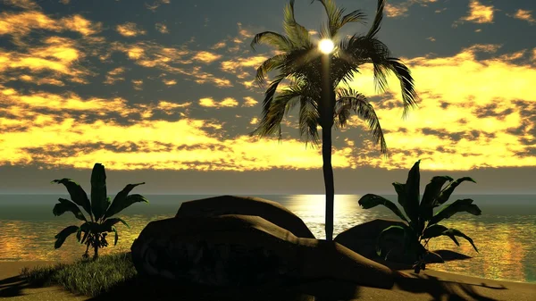 Χαβάης ηλιοβασίλεμα σε τροπικό παράδεισο — Φωτογραφία Αρχείου