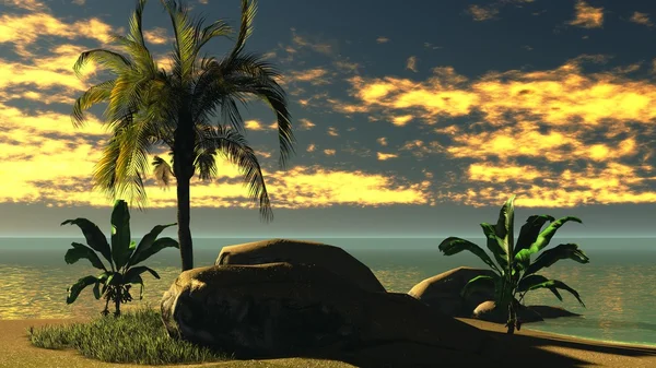 Hawaiian sunset in tropisch paradijs — Stockfoto