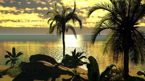 Tramonto hawaiano nel paradiso tropicale — Foto Stock