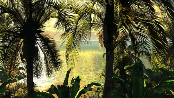 Atardecer hawaiano en paraíso tropical — Foto de Stock