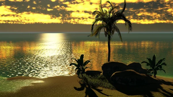 Hawaiian sunset v tropickém ráji — Stock fotografie