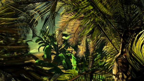 Tramonto hawaiano nel paradiso tropicale — Foto Stock