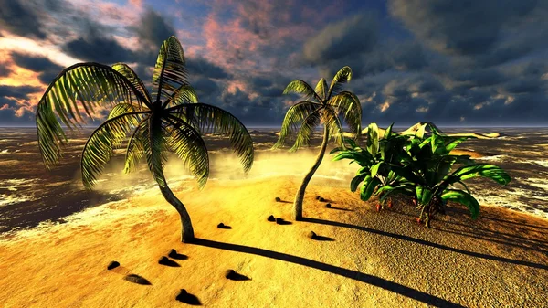 Tropik sahil cenneti — Stok fotoğraf