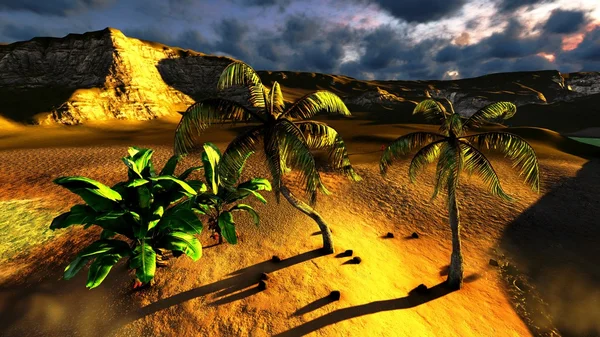 Plaża tropikalny raj — Zdjęcie stockowe