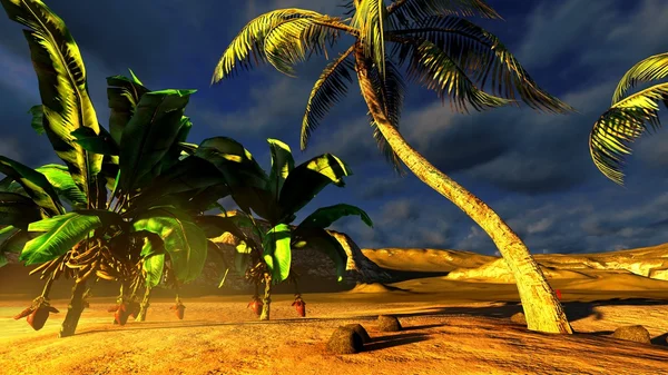 Paraíso de playa tropical — Foto de Stock