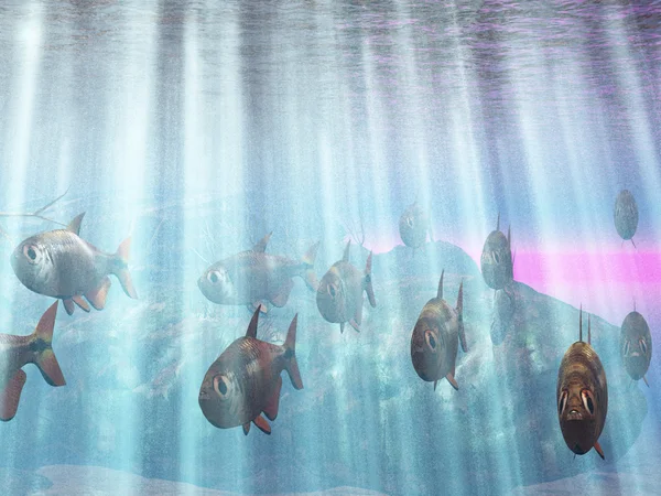 Τροπικό παράδεισο υποβρύχια — Φωτογραφία Αρχείου