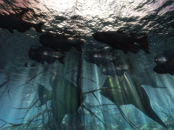 Tropikalny raj podwodne — Zdjęcie stockowe