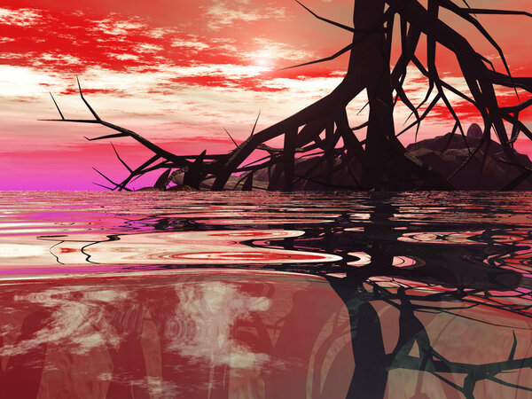 Тропический подводный рай
