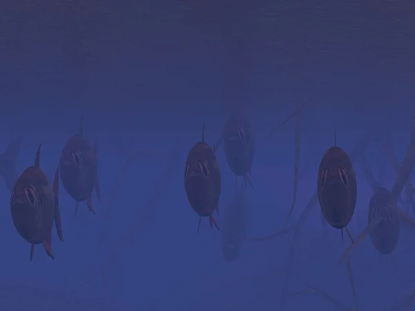 Τροπικό παράδεισο υποβρύχια — Φωτογραφία Αρχείου