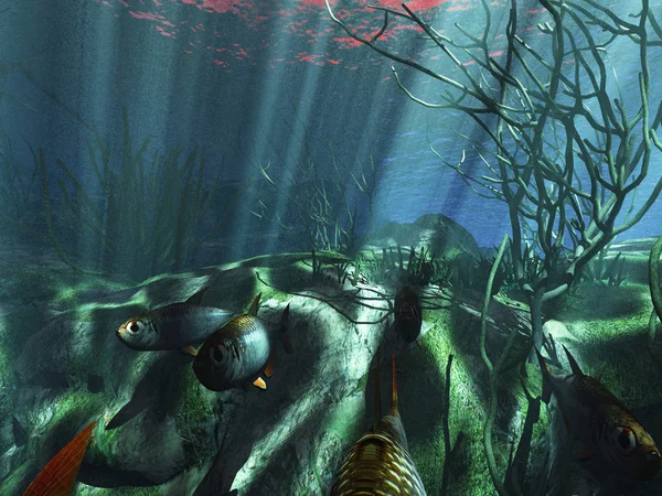 Тропический подводный рай — стоковое фото