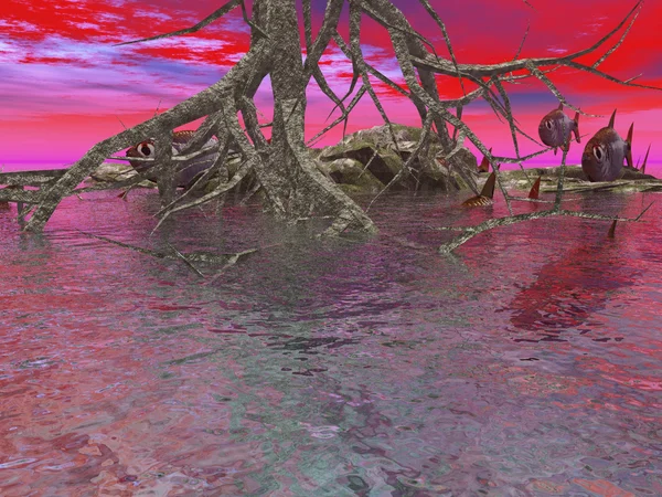 Víz alatti a trópusi paradicsomban — Stock Fotó