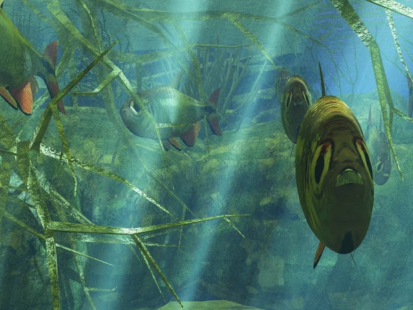 水中の熱帯の楽園 — ストック写真