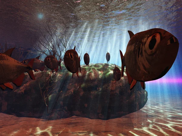 Тропический подводный рай — стоковое фото
