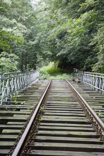 Old railway track — Stock Photo, Image