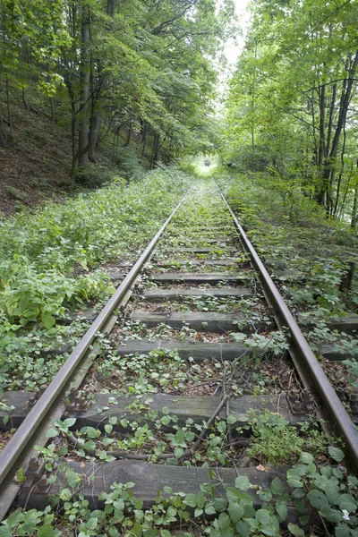 Staré železniční trať — Stock fotografie