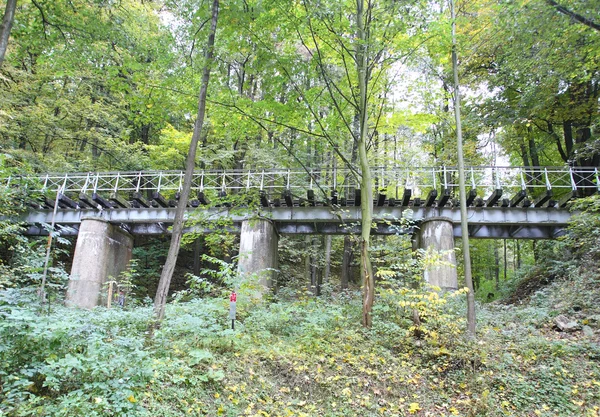 Viaducto antiguo en el sur de Polonia — Foto de Stock