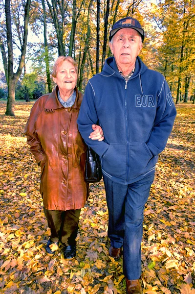 공원 의연로 한 부부 — 스톡 사진