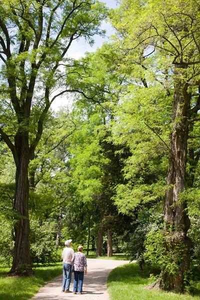 Parktaki yaşlı çift.