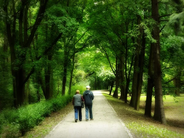 Starší pár v parku — Stock fotografie