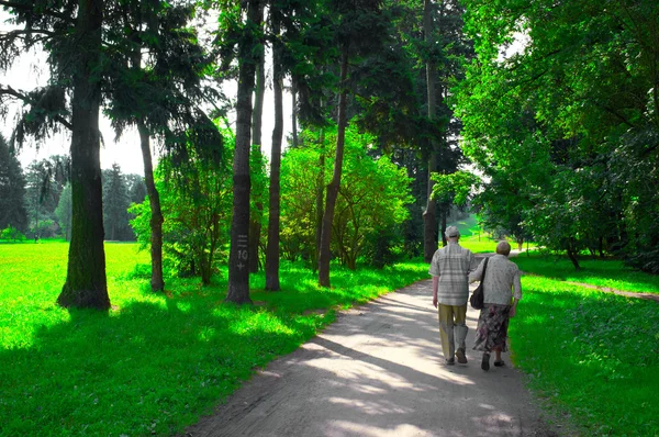 Idős pár a parkban — Stock Fotó